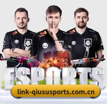 国际化进程(QiusuSports)